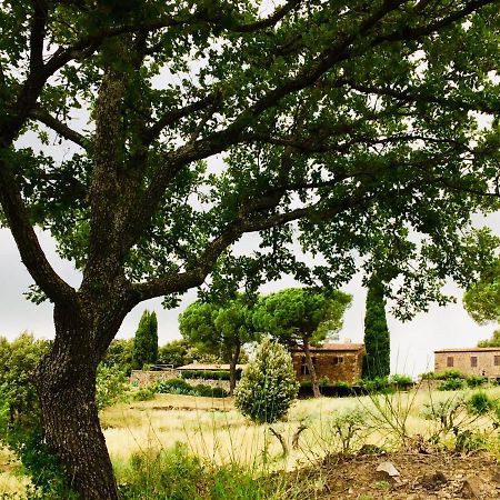 Nocini Di Maremma Villa Tatti Exteriör bild
