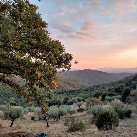 Nocini Di Maremma Villa Tatti Exteriör bild