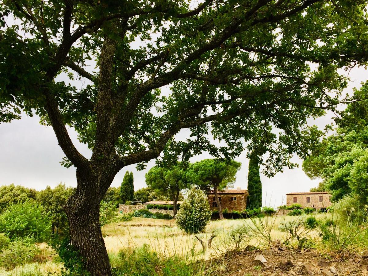 Nocini Di Maremma Villa Tatti Exteriör bild