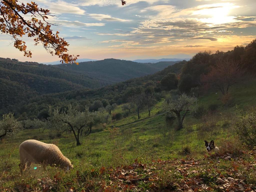 Nocini Di Maremma Villa Tatti Exteriör bild