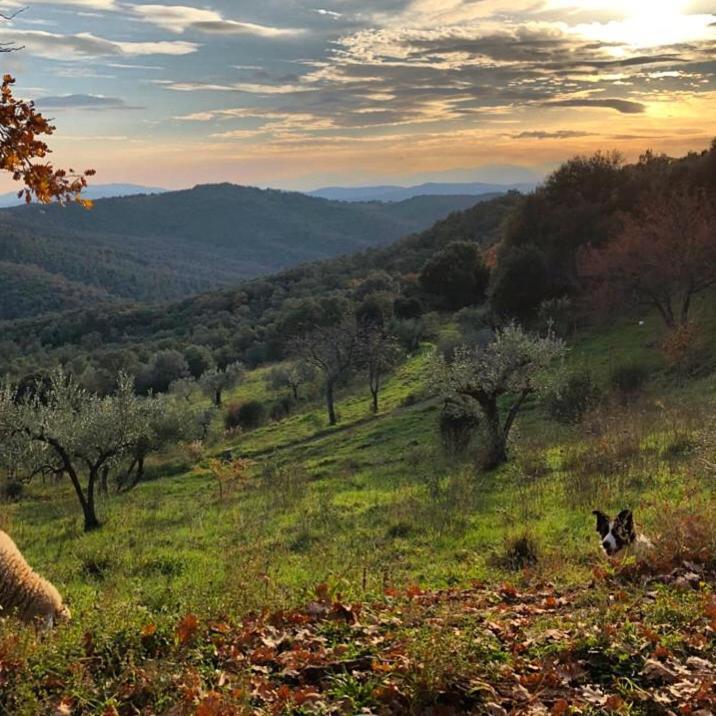 Nocini Di Maremma Villa Tatti Exteriör bild