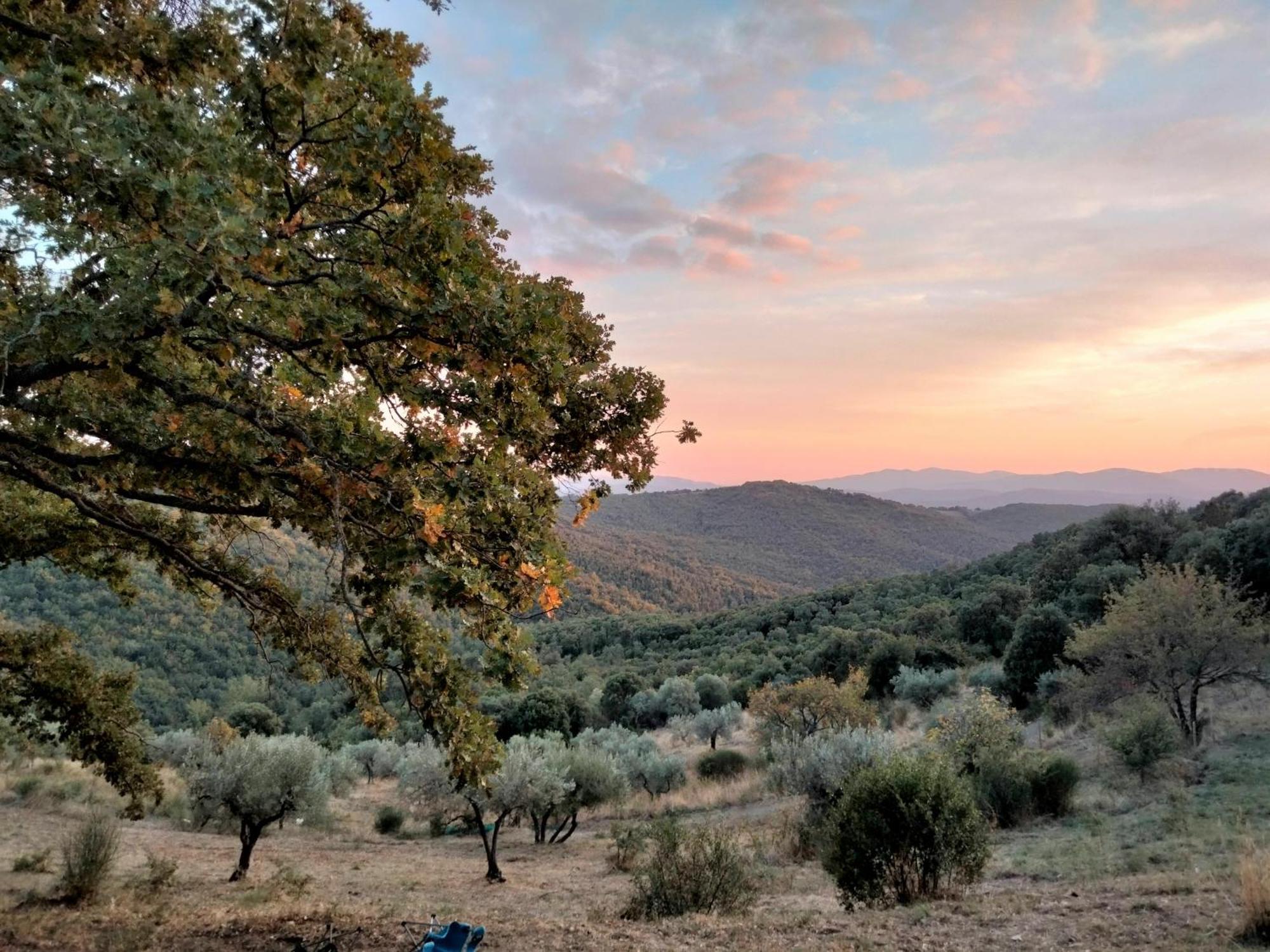 Nocini Di Maremma Villa Tatti Exteriör bild