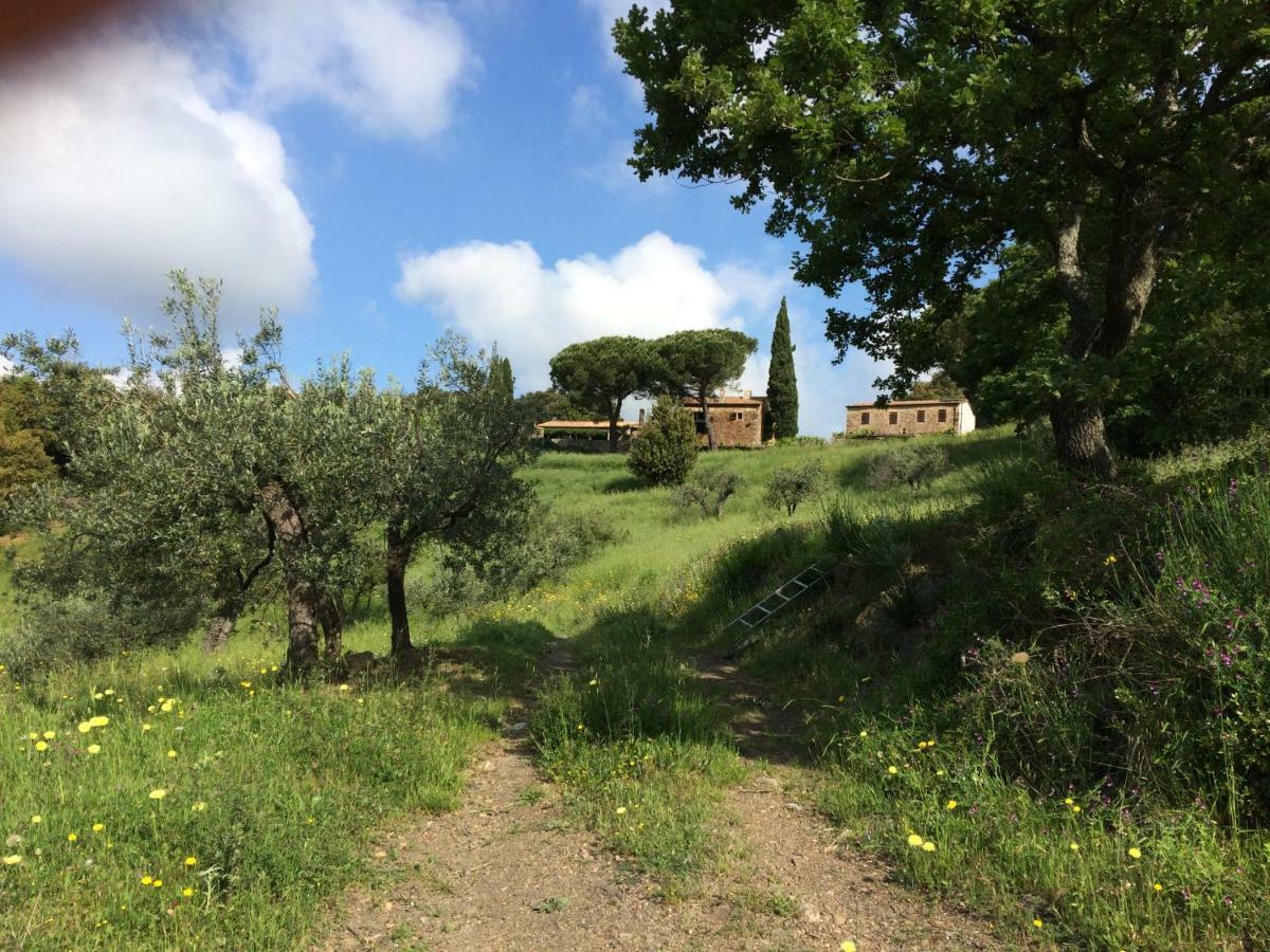 Nocini Di Maremma Villa Tatti Exteriör bild