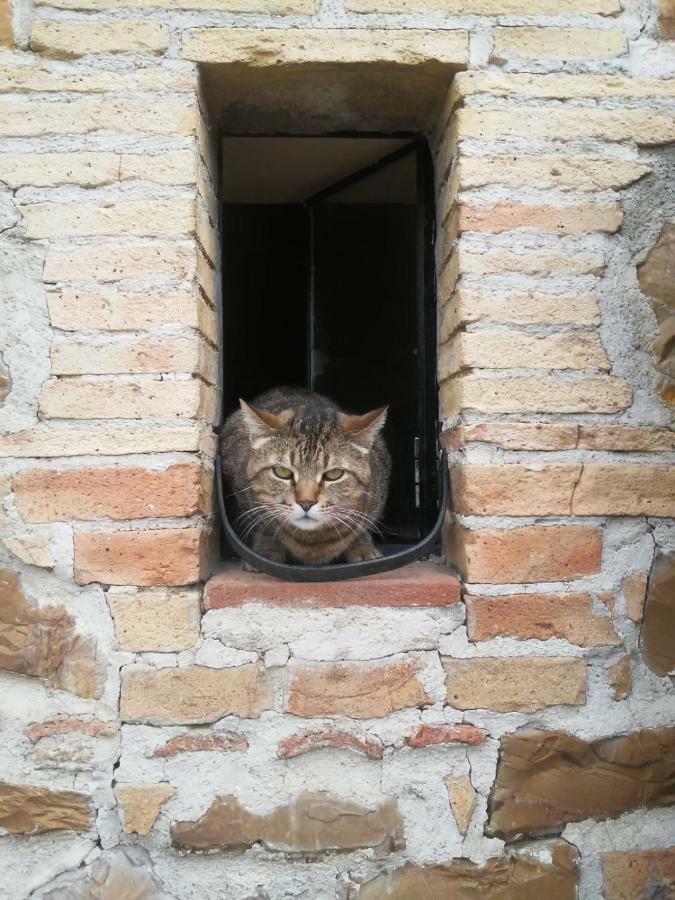 Nocini Di Maremma Villa Tatti Exteriör bild